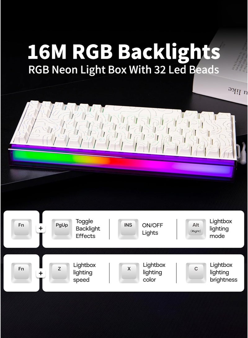 AULA Hero 68HE RGB Gaming Keyboard 65% Wired with Adjustable Actuation,Hall Effect Magnetic Switch,8KHz Polling Rate,RGB Backlit,Neon Lightbox,Tray Mount,Side Printed Keycap(White) - Image 4